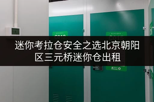 迷你考拉仓安全之选北京朝阳区三元桥迷你仓出租,温湿监控守护您的每一件宝贝 迷你考拉仓安全之选北京朝阳区三元桥迷你仓出租,温湿监控守护您的每一件宝贝