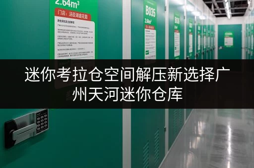 迷你考拉仓空间解压新选择广州天河迷你仓库,解锁家庭品质生活新境界 迷你考拉仓空间解压新选择广州天河迷你仓库,解锁家庭品质生活新境界