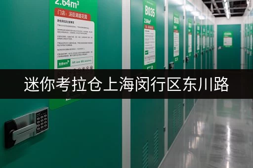 迷你考拉仓上海闵行区东川路，个人小仓库出租新选择——便捷存取，全天候服务