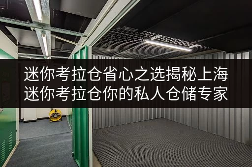 迷你考拉仓省心之选揭秘上海迷你考拉仓你的私人仓储专家 迷你考拉仓省心之选揭秘上海迷你考拉仓你的私人仓储专家