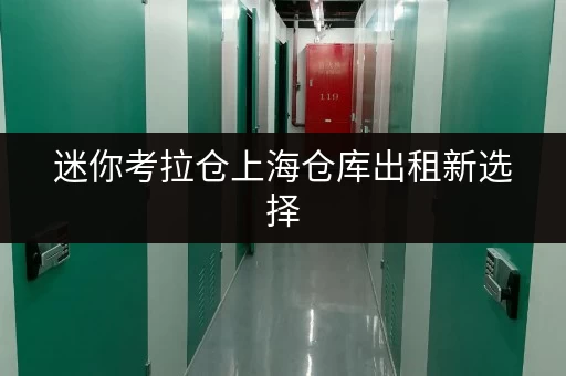 迷你考拉仓上海仓库出租新选择，迷你考拉仓带您告别存储烦恼