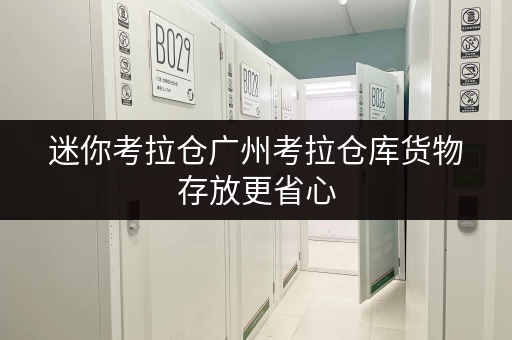迷你考拉仓广州考拉仓库货物存放更省心，存储方案一网打尽！
