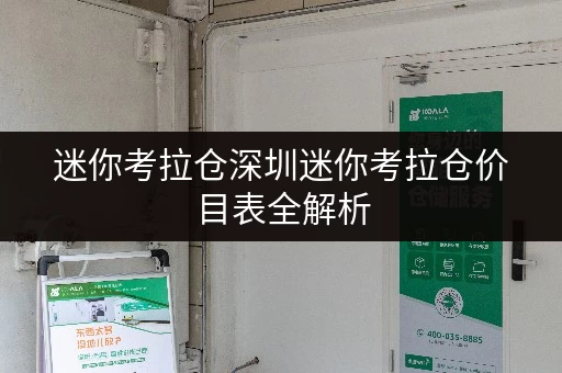 迷你考拉仓深圳迷你考拉仓价目表全解析，随存随取，便捷无忧！