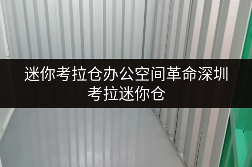 迷你考拉仓办公空间革命深圳考拉迷你仓,释放你的办公空间潜能 迷你考拉仓办公空间革命深圳考拉迷你仓,释放你的办公空间潜能