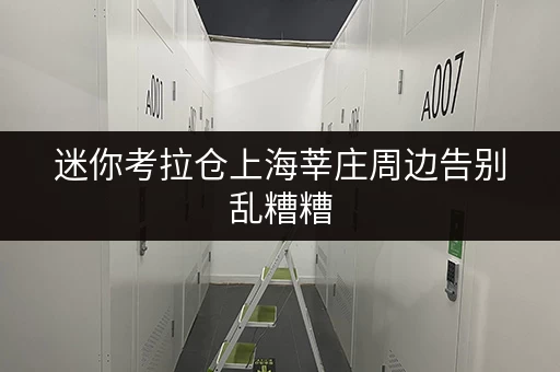 迷你考拉仓上海莘庄周边告别乱糟糟,货物存放更省心的存储方案大揭秘! 迷你考拉仓上海莘庄周边告别乱糟糟,货物存放更省心的存储方案大揭秘!