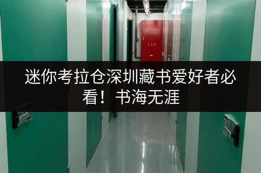 迷你考拉仓深圳藏书爱好者必看！书海无涯，储物有方