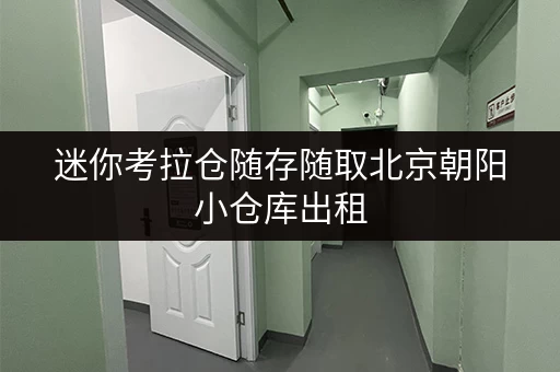 迷你考拉仓随存随取北京朝阳小仓库出租,轻松解决设备工具存放难题 迷你考拉仓随存随取北京朝阳小仓库出租,轻松解决设备工具存放难题