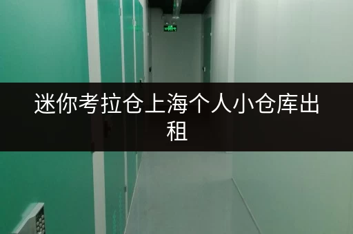 迷你考拉仓上海个人小仓库出租，透明价格，省钱无忧
