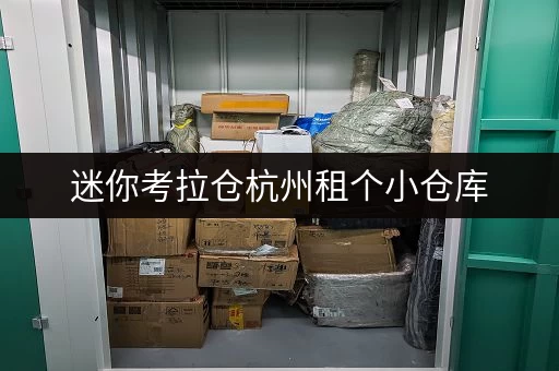 迷你考拉仓杭州租个小仓库,全时段服务,价格透明全攻略 迷你考拉仓杭州租个小仓库,全时段服务,价格透明全攻略