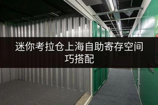 迷你考拉仓上海自助寄存空间巧搭配,生活更便捷——迷你考拉仓面积选择全攻略 迷你考拉仓上海自助寄存空间巧搭配,生活更便捷——迷你考拉仓面积选择全攻略