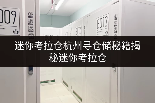 迷你考拉仓杭州寻仓储秘籍揭秘迷你考拉仓,安全温湿监控守护您的宝贝 迷你考拉仓杭州寻仓储秘籍揭秘迷你考拉仓,安全温湿监控守护您的宝贝