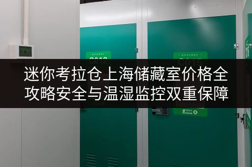 迷你考拉仓上海储藏室价格全攻略安全与温湿监控双重保障 迷你考拉仓上海储藏室价格全攻略安全与温湿监控双重保障