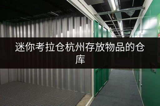 迷你考拉仓杭州存放物品的仓库，迷你考拉仓为您打造省心存储方案
