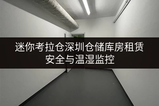 迷你考拉仓深圳仓储库房租赁安全与温湿监控,守护您的每一件宝贝 迷你考拉仓深圳仓储库房租赁安全与温湿监控,守护您的每一件宝贝