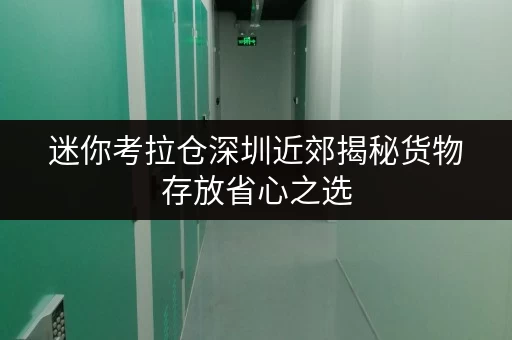 迷你考拉仓深圳近郊揭秘货物存放省心之选,迷你考拉仓为你解锁仓储新体验 迷你考拉仓深圳近郊揭秘货物存放省心之选,迷你考拉仓为你解锁仓储新体验