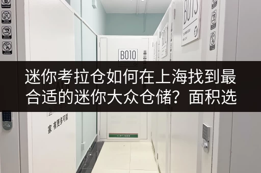 迷你考拉仓如何在上海找到最合适的迷你大众仓储?面积选择全攻略 迷你考拉仓如何在上海找到最合适的迷你大众仓储?面积选择全攻略