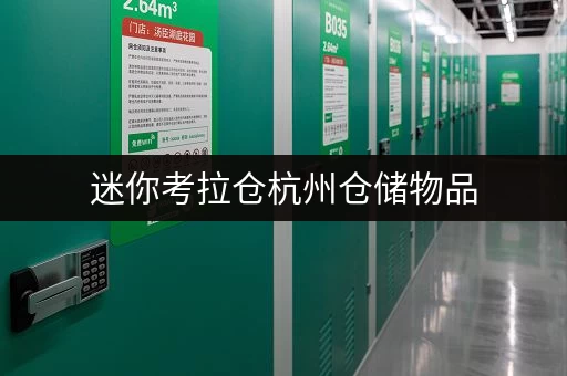 迷你考拉仓杭州仓储物品，随存随取更便捷