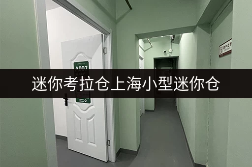 迷你考拉仓上海小型迷你仓,轻松解决货物存放烦恼 迷你考拉仓上海小型迷你仓,轻松解决货物存放烦恼