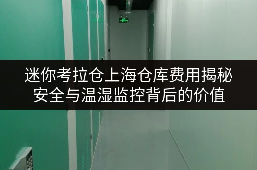 迷你考拉仓上海仓库费用揭秘安全与温湿监控背后的价值 迷你考拉仓上海仓库费用揭秘安全与温湿监控背后的价值