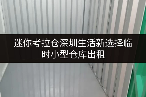 迷你考拉仓深圳生活新选择临时小型仓库出租,存取便利,全天候服务,生活无忧! 迷你考拉仓深圳生活新选择临时小型仓库出租,存取便利,全天候服务,生活无忧!