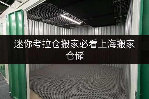 迷你考拉仓搬家必看上海搬家仓储，如何选择面积？实用案例揭秘！