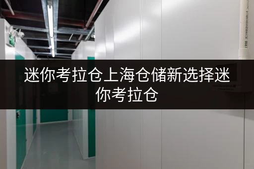 迷你考拉仓上海仓储新选择迷你考拉仓,让货物存放更省心 迷你考拉仓上海仓储新选择迷你考拉仓,让货物存放更省心