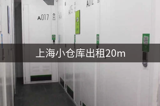 上海小仓库出租20m，上海迷你仓库出租