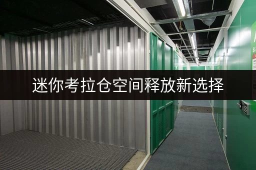迷你考拉仓空间释放新选择，品质生活新体验——上海迷你考拉仓，您的私人仓储空间