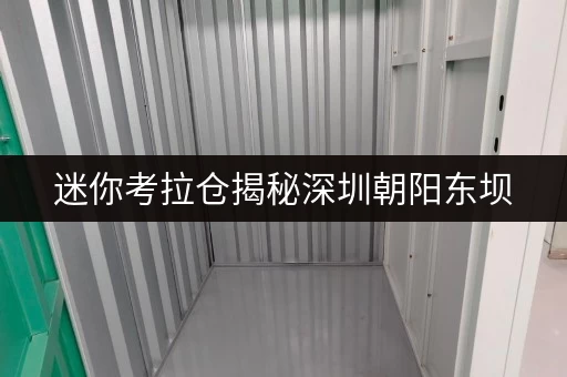 迷你考拉仓揭秘深圳朝阳东坝,如何轻松找到性价比高的仓库租赁? 迷你考拉仓揭秘深圳朝阳东坝,如何轻松找到性价比高的仓库租赁?