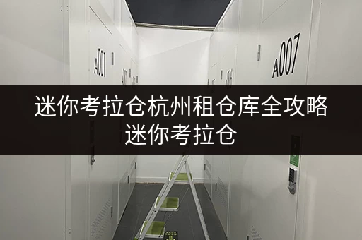 迷你考拉仓杭州租仓库全攻略迷你考拉仓，便捷存取，全时段服务，让存储无忧