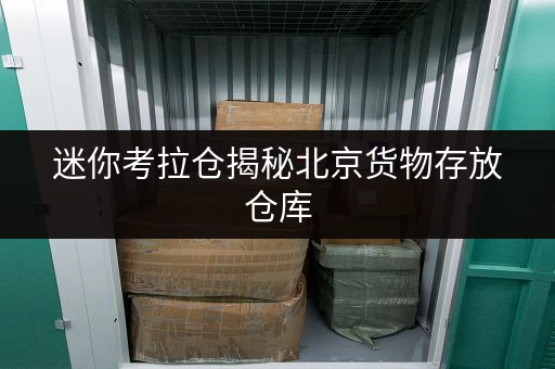 迷你考拉仓揭秘北京货物存放仓库，如何省心又省钱？