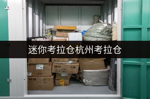 迷你考拉仓杭州考拉仓，守护您的宝贝，温湿监控，安全无忧