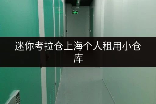 迷你考拉仓上海个人租用小仓库，安全与温湿监控全攻略