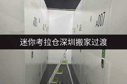 迷你考拉仓深圳搬家过渡,迷你考拉仓助您轻松寄存货物 迷你考拉仓深圳搬家过渡,迷你考拉仓助您轻松寄存货物
