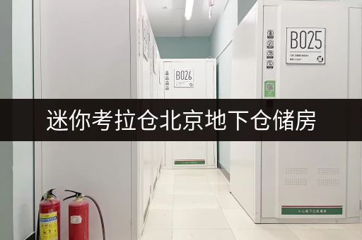迷你考拉仓北京地下仓储房，让货物存放更省心存储方案