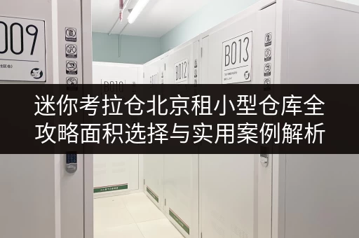 迷你考拉仓北京租小型仓库全攻略面积选择与实用案例解析 迷你考拉仓北京租小型仓库全攻略面积选择与实用案例解析