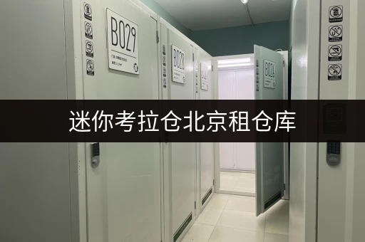 迷你考拉仓北京租仓库，安全与温湿监控双重保障，让您的物品安心“入住”