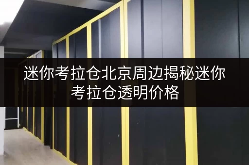 迷你考拉仓北京周边揭秘迷你考拉仓透明价格，省钱存储攻略