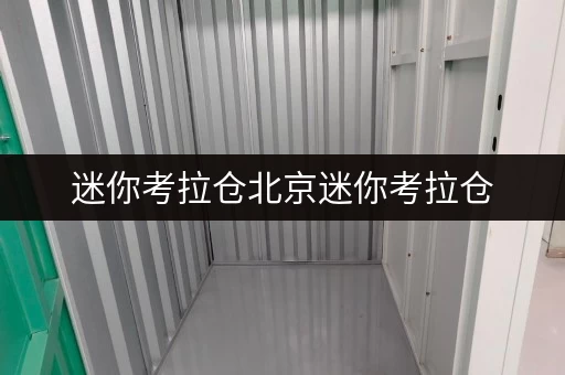 迷你考拉仓北京迷你考拉仓,释放空间,提升生活品质的明智选择 迷你考拉仓北京迷你考拉仓,释放空间,提升生活品质的明智选择