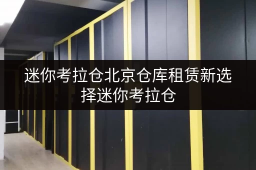 迷你考拉仓北京仓库租赁新选择迷你考拉仓，随存随取更便捷