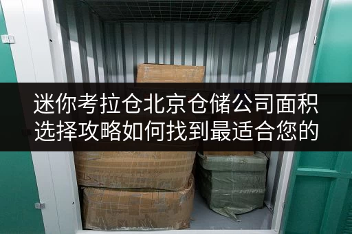 迷你考拉仓北京仓储公司面积选择攻略如何找到最适合您的私人空间？