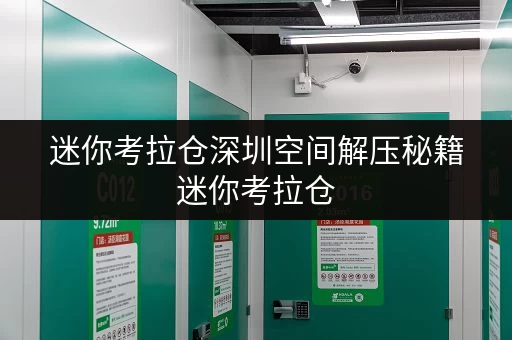 迷你考拉仓深圳空间解压秘籍迷你考拉仓，家庭储物新选择，释放空间，提升生活品质
