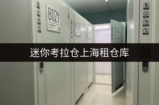 迷你考拉仓上海租仓库,安全与温湿监控双重保障,租金透明攻略! 迷你考拉仓上海租仓库,安全与温湿监控双重保障,租金透明攻略!