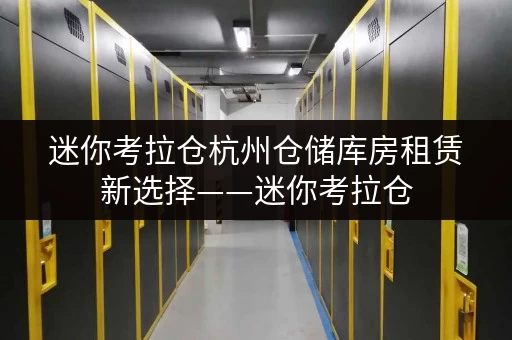 迷你考拉仓杭州仓储库房租赁新选择——迷你考拉仓,全时段服务,存取无忧 迷你考拉仓杭州仓储库房租赁新选择——迷你考拉仓,全时段服务,存取无忧