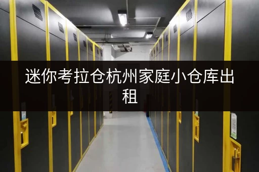 迷你考拉仓杭州家庭小仓库出租,告别杂物烦恼,释放生活空间! 迷你考拉仓杭州家庭小仓库出租,告别杂物烦恼,释放生活空间!
