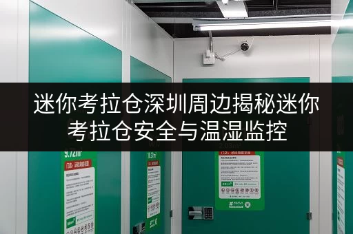 迷你考拉仓深圳周边揭秘迷你考拉仓安全与温湿监控,让您的物品安“新”家 迷你考拉仓深圳周边揭秘迷你考拉仓安全与温湿监控,让您的物品安“新”家