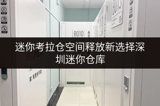 迷你考拉仓空间释放新选择深圳迷你仓库,打造高品质家庭生活空间 迷你考拉仓空间释放新选择深圳迷你仓库,打造高品质家庭生活空间