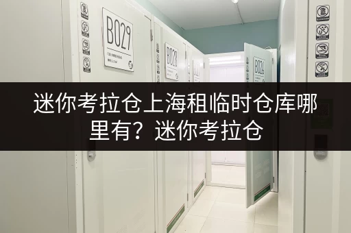 迷你考拉仓上海租临时仓库哪里有？迷你考拉仓，您的便捷存储首选！