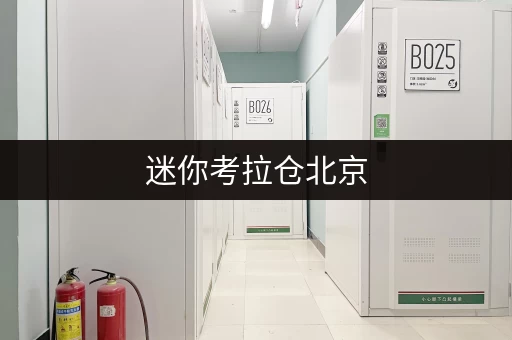 迷你考拉仓北京,安全守护的储物秘境迷你考拉仓,你的物品“温暖的家” 迷你考拉仓北京,安全守护的储物秘境迷你考拉仓,你的物品“温暖的家”