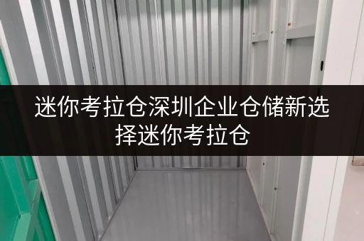 迷你考拉仓深圳企业仓储新选择迷你考拉仓,安全与温湿监控双重保障 迷你考拉仓深圳企业仓储新选择迷你考拉仓,安全与温湿监控双重保障